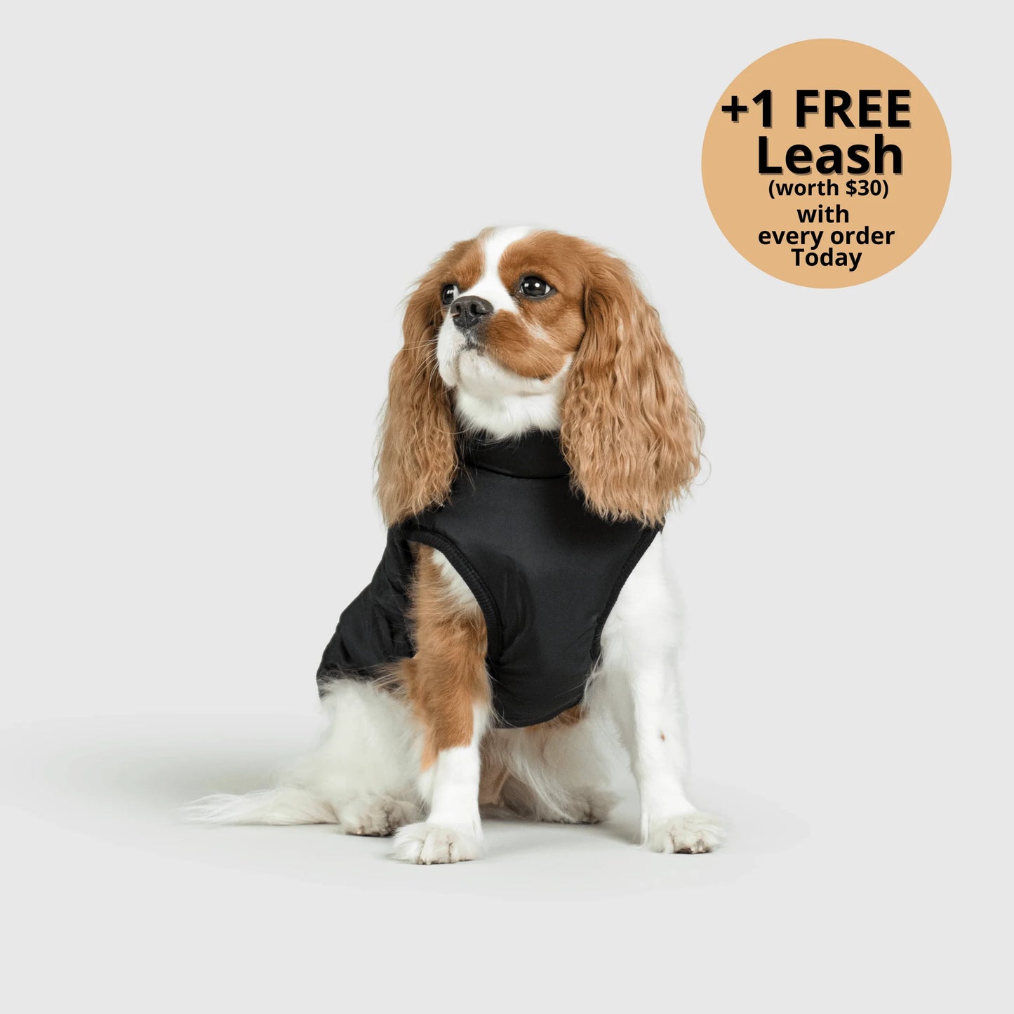 ThermaPup™ Waterproof Harness Jacket