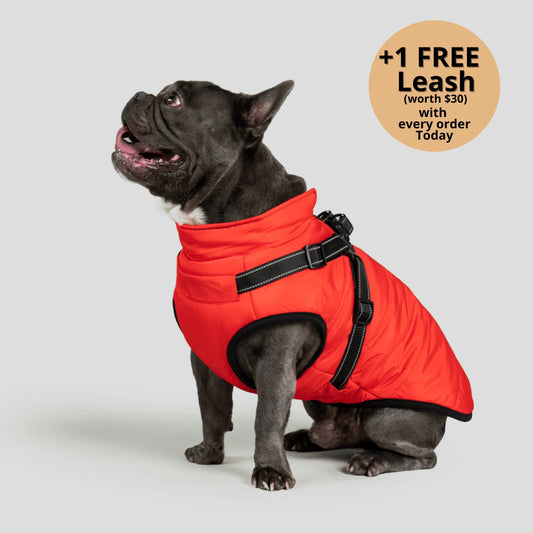 ThermaPup™ Waterproof Harness Jacket