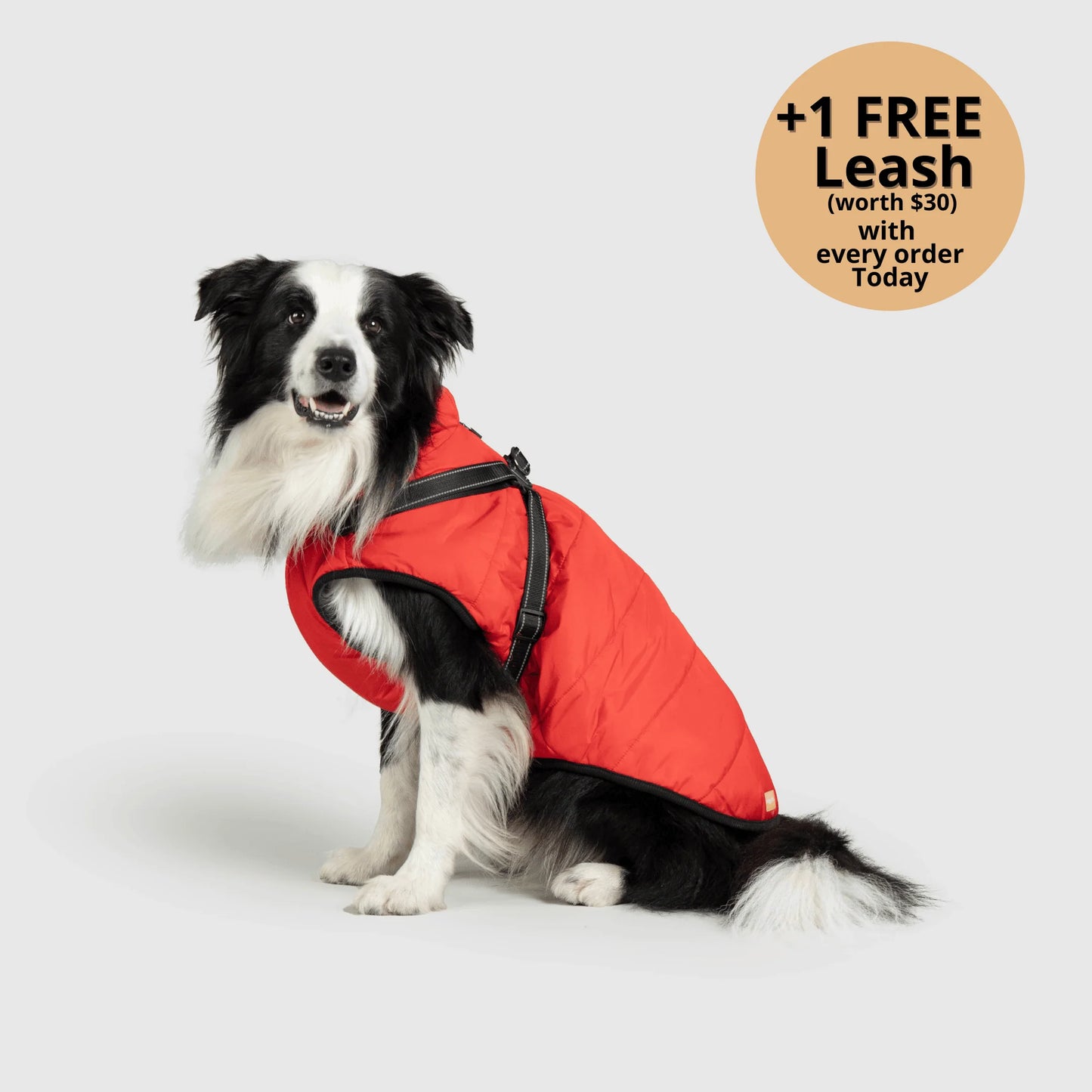 ThermaPup™ Waterproof Harness Jacket