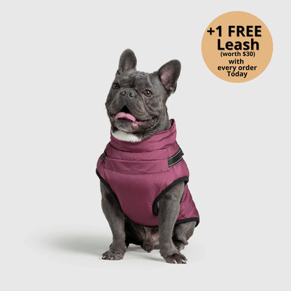 ThermaPup™ Waterproof Harness Jacket