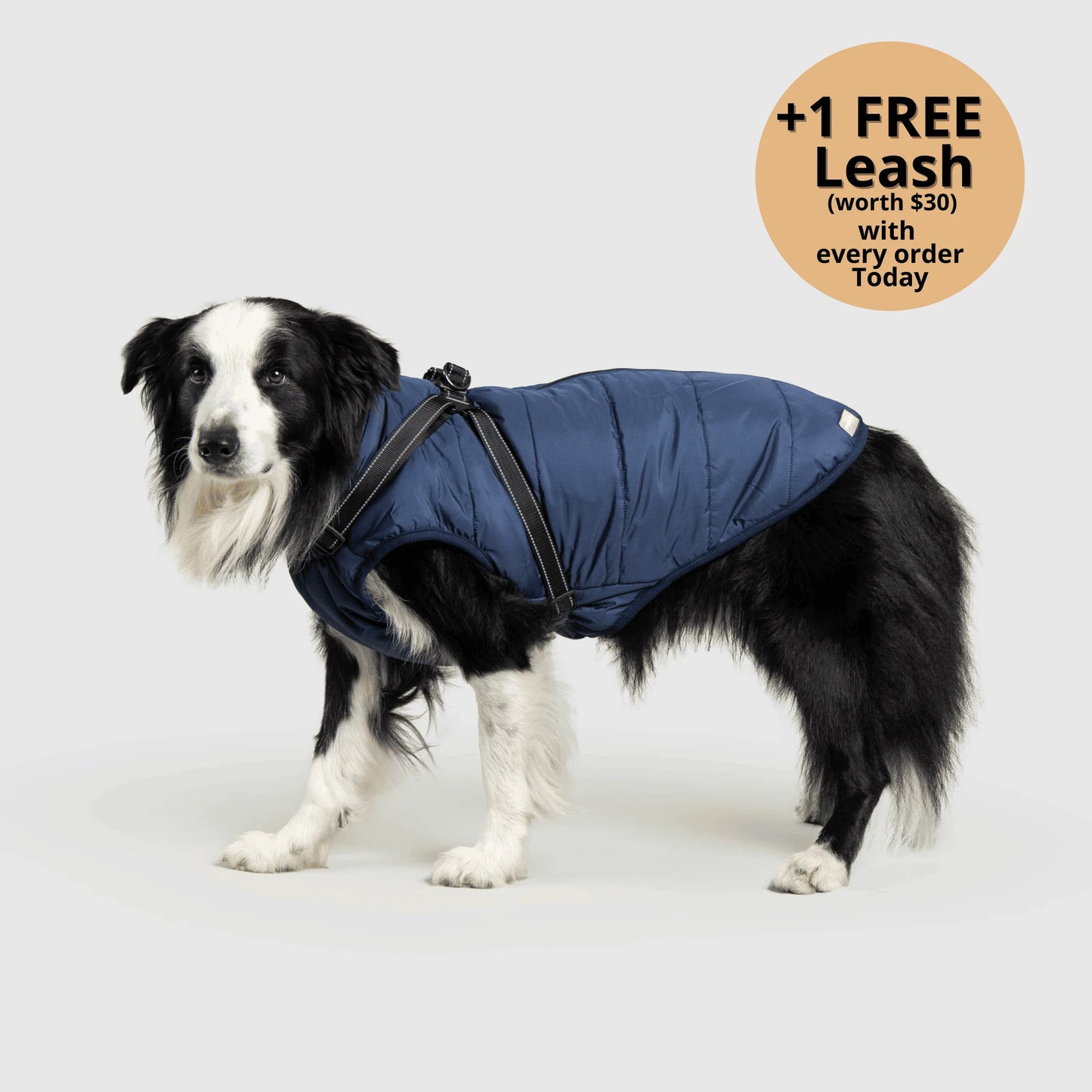 ThermaPup™ Waterproof Harness Jacket