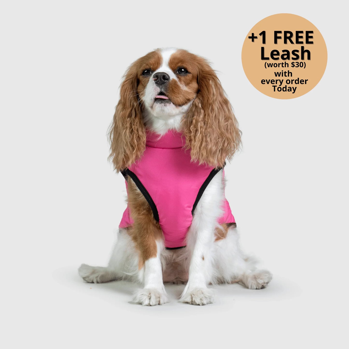 ThermaPup™ Waterproof Harness Jacket