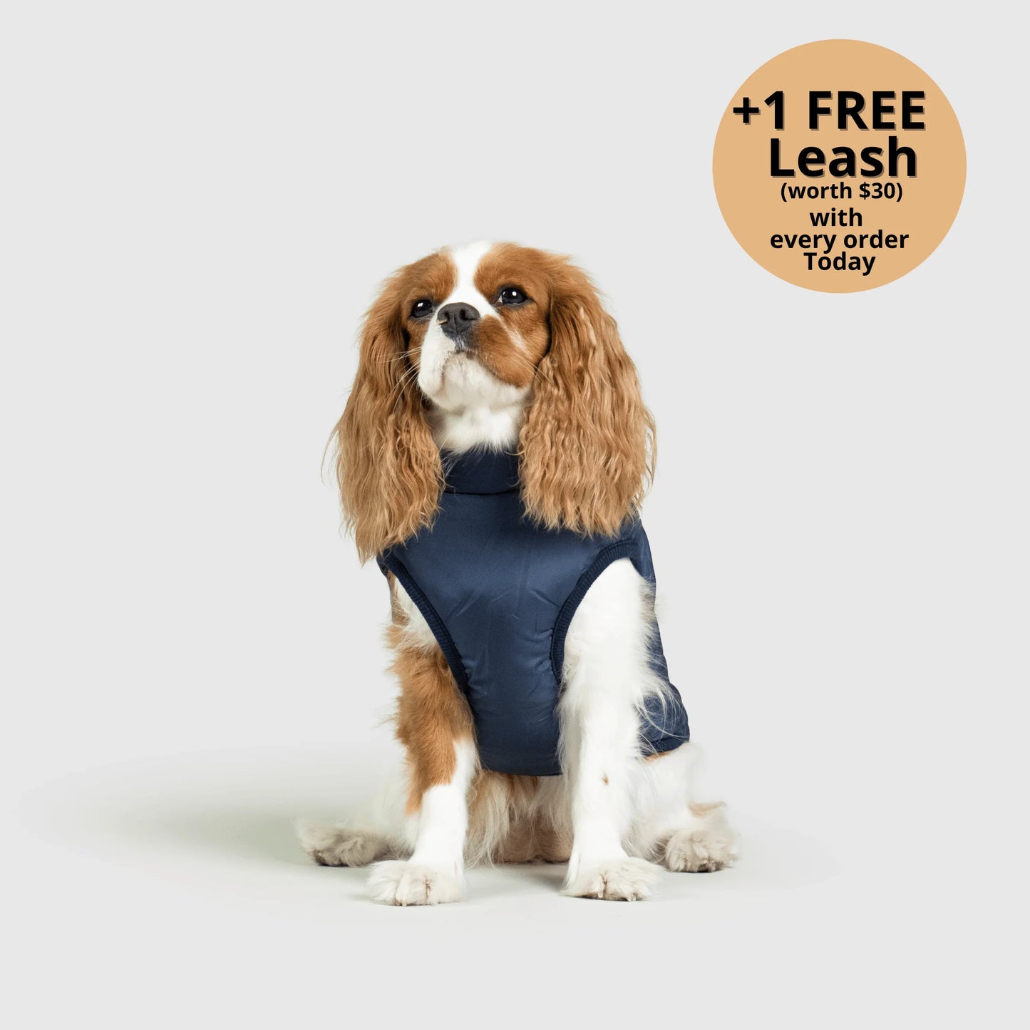 ThermaPup™ Waterproof Harness Jacket