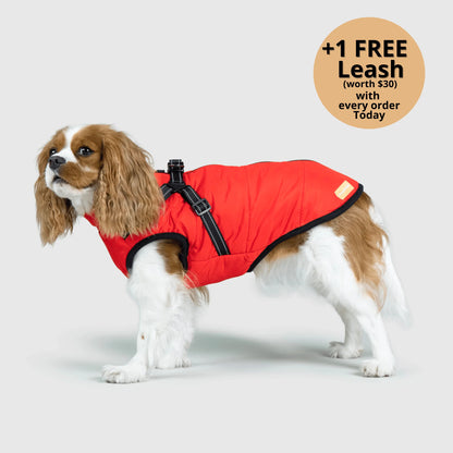 ThermaPup™ Waterproof Harness Jacket