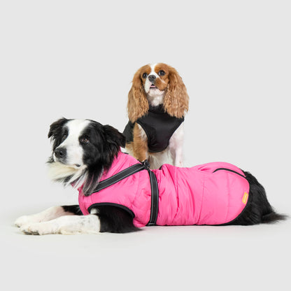 ThermaPup™ Waterproof Harness Jacket